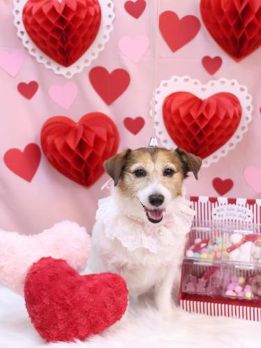 20240206こはるちゃん